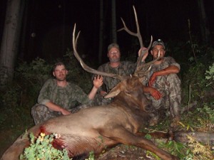 Bow Hunting Colorado Elk Camp Outfitters