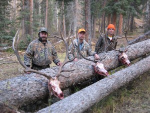 Semi Guided Elk Hunting in Colorado