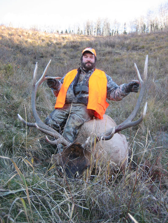 Semi Guided Elk Hunts In Colorado Elk Mule Deer Hunting Semi Guided Elk Hunts In Colorado Elk Mule Deer Hunting