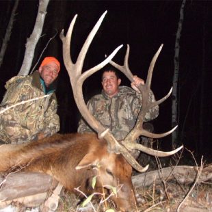 Two men behind an elk they bagged at Colorado Elk Camp Outfitters.