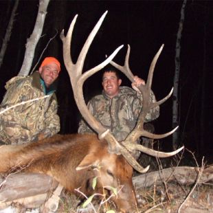 Colorado Elk Hunting - Colorado Elk Camp Outfitters