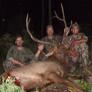 Three men posing with an Elk they caught at Colorado Elk Camp Outfitters.